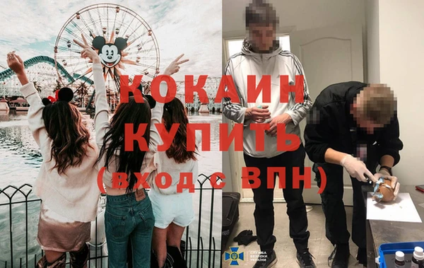 стаф Балахна