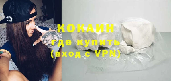 шишки Козельск
