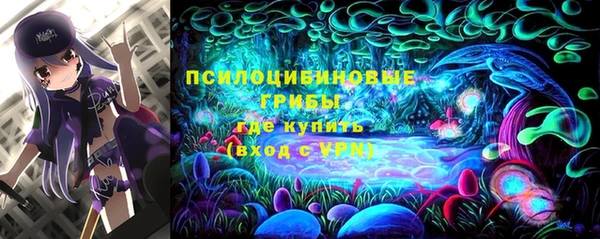 стаф Балахна