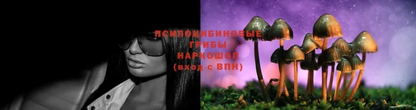 spice Балабаново