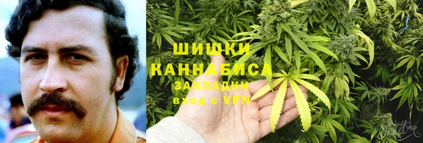 стаф Балахна