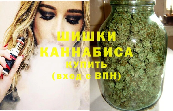 стаф Балахна